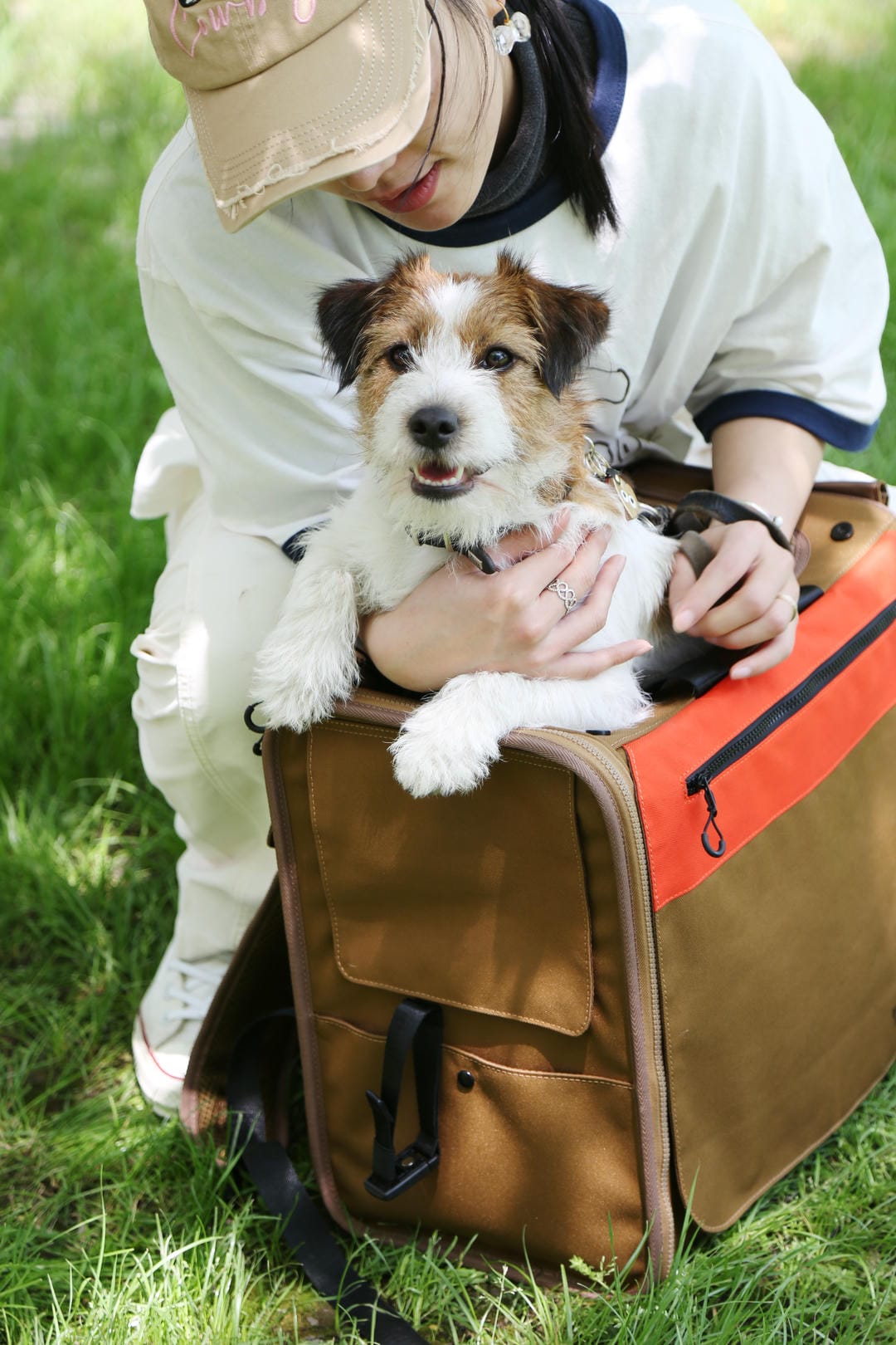 Canine Cabin Pack
