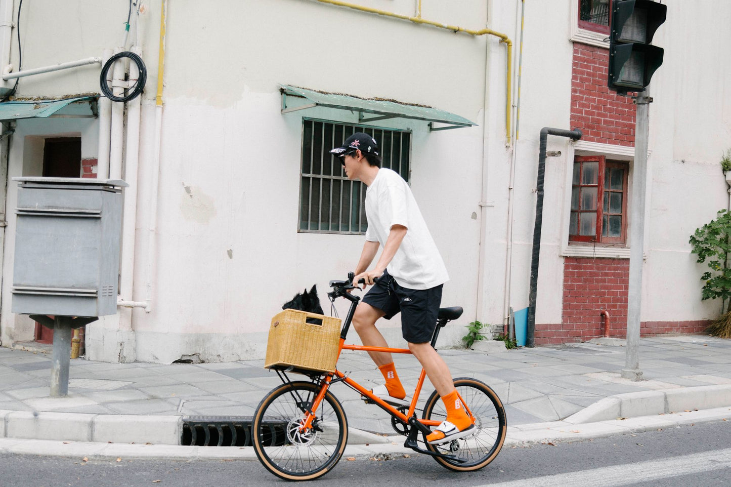 Wind (minivelo 451)