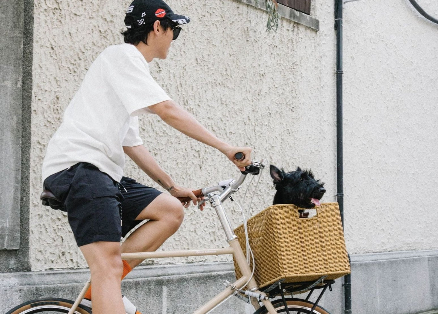 Wind (minivelo 451)