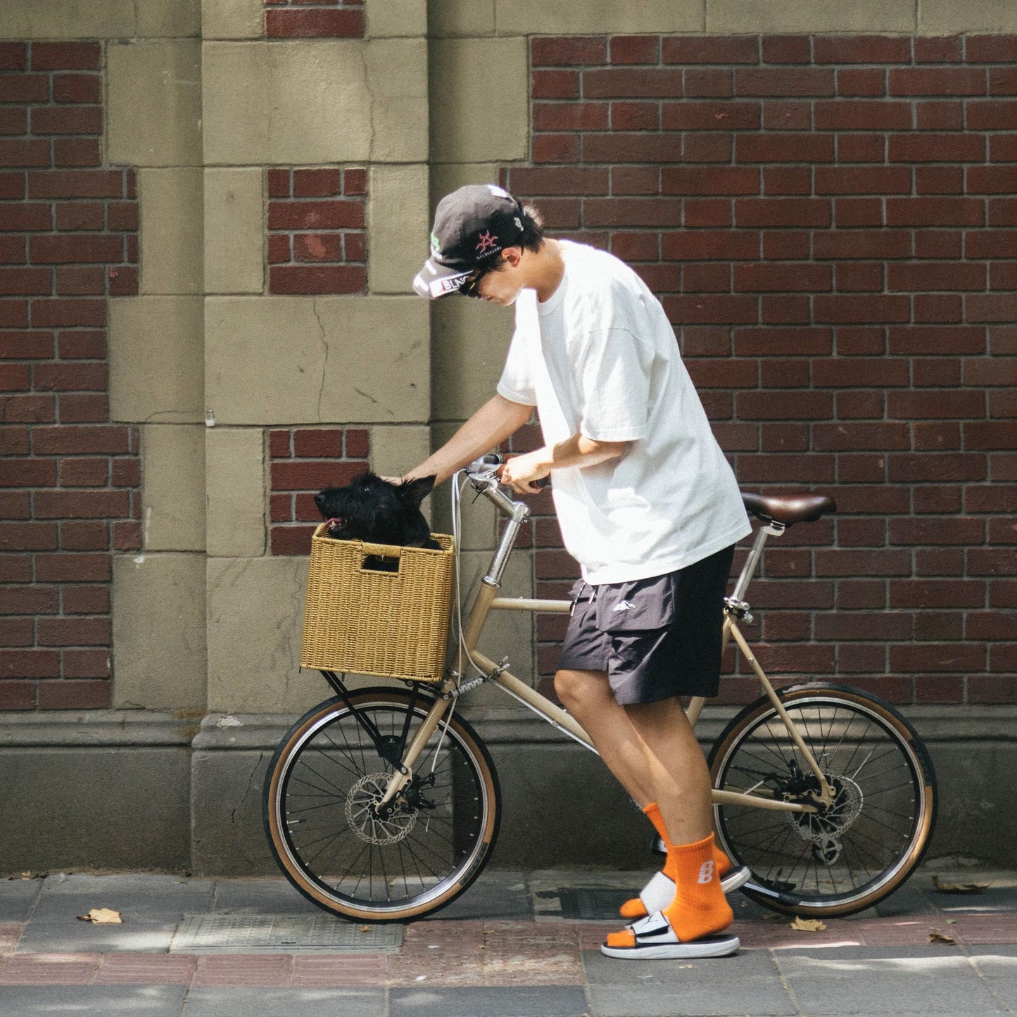 Wind (minivelo 451)