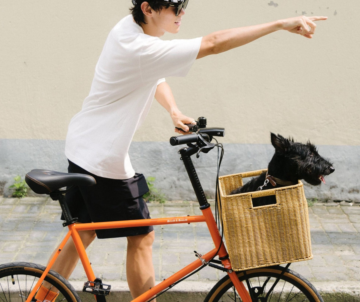Wind (minivelo 451)