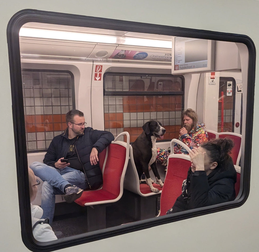 Interzoo 2026: What if dogs could ride the subway like this?