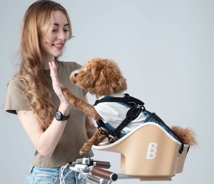 Canine Copilot