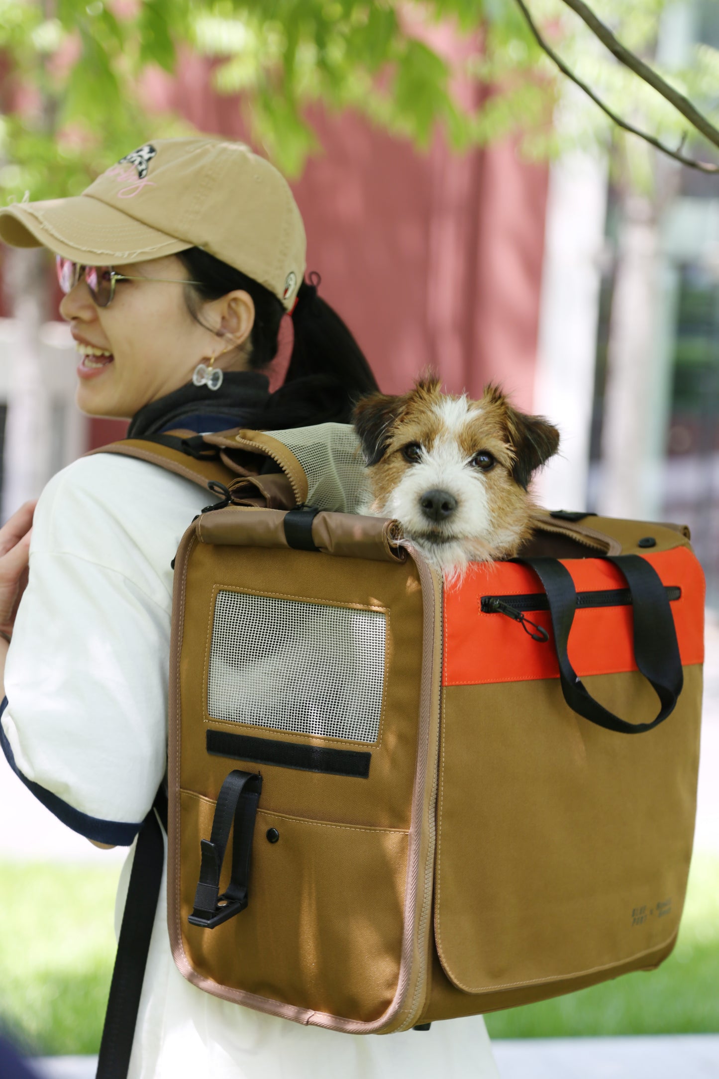 Canine Cabin Pack