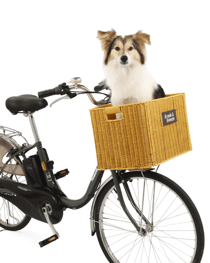 The Wayfarer Basket