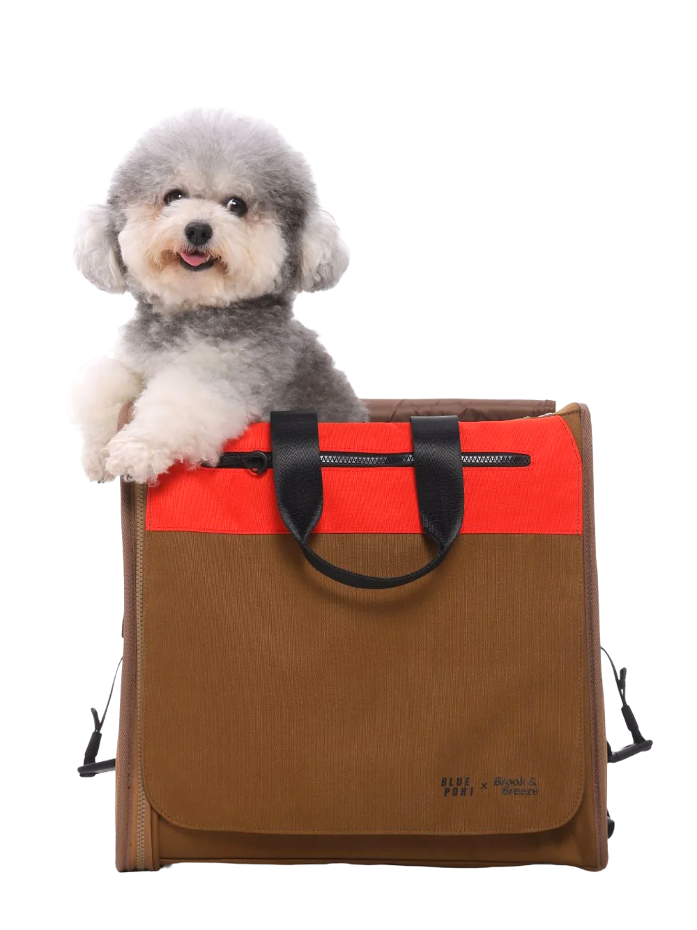 Canine Cabin Pack