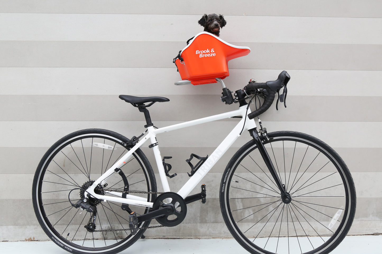 Threadless Stem Adapter (Road, Mountain Bikes)