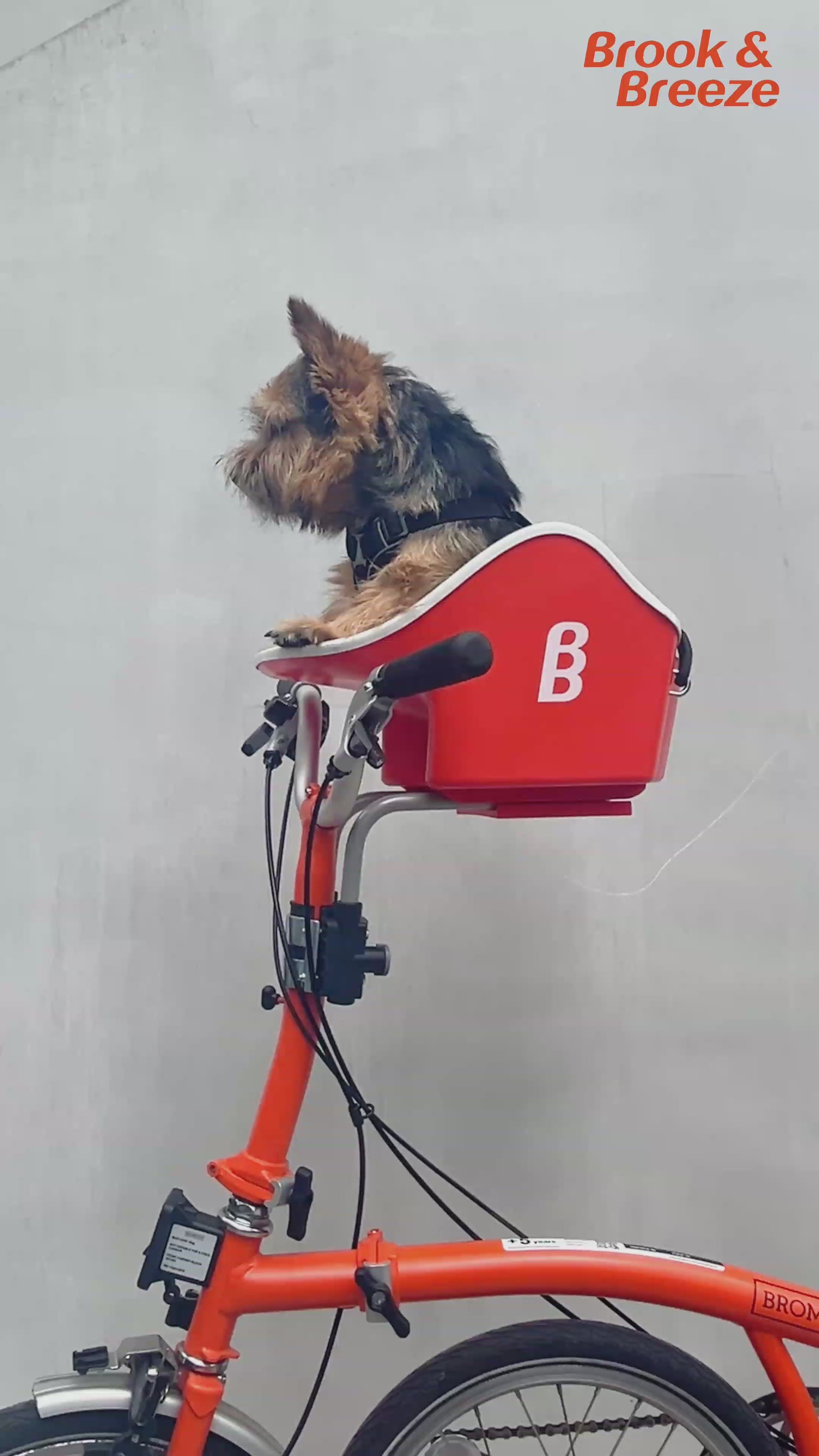 Load video: A detailed instructional video demonstrating how to safely and conveniently transport a dog by bicycle using a universal dog carrier mounting system. The video walks through the complete installation process step by step across a wide variety of bicycle styles, including city bikes, commuter bikes, mountain bikes, e-bikes, folding bikes, step-through frames, and cargo bikes. Close-up shots show how the mounting hardware attaches securely to different frame geometries and rack configurations using the same adaptable installation method. The presenter demonstrates proper alignment, strap placement, tightening procedures, weight distribution, and safety checks to ensure a stable and comfortable ride for both rider and dog. The video highlights the versatility and compatibility of the system, emphasizing that the installation approach works universally across many bike types with minimal tools and easy adjustments. Additional scenes show dogs comfortably seated during rides in urban streets, bike paths, and parks, illustrating safe handling, rider balance, and convenient everyday use for pet transportation by bicycle.