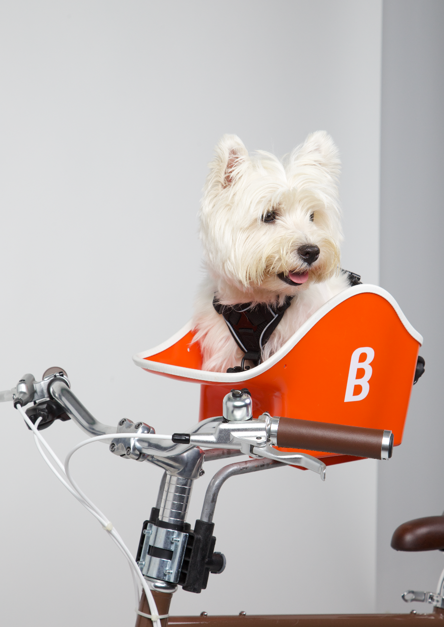 Canine Copilot – Brook & Breeze Canine Copilot – Brook & Breeze